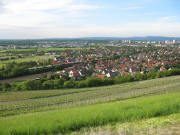 Blick nach Norden vom Schnberg auf Wendlingen am 24.5.2006