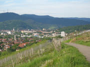 Blick nach Osten vom St.Georgener  Weinberg  zum Lorettoberg am 24.5.2006