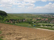 Blick  nach Sdwesten ber Talhausen zum Batzenberg am 24.5.2006