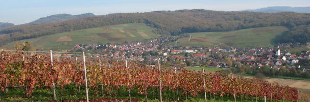 Blick vom Batzenberg nach Osten ber Pfaffenweiler am 10.11.2006