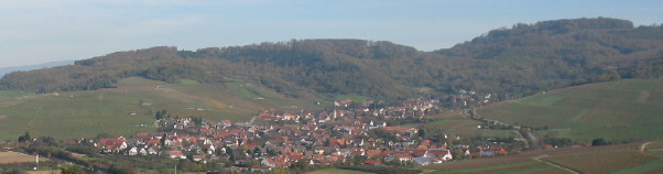 Blick vom Batzenberg nach Osten auf Ebringen am 10.11.2006 mit Sommerberg (links) und Drrenberg (rechts)