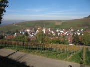 Blick nach Norden ber Ebringen zum Sommerberg am 7.11.2006