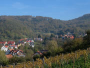 Blick nach Nordosten ber Ebringen zur Ruine Schnberg am 7.11.2006