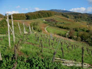 Blick vom Stalten nach Osten ber die Weinhnge "Paradies" oberhalb von Feldberg am 2.11.2006