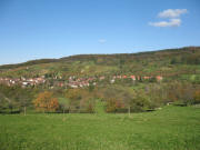Blick von Teufelsgrber unterhalb Steinenkreuzle nach Norden auf Feldberg zum "Paradies" (Weinberge oberhalb des Orts) am 2.11.2006