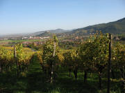 Blick vom Weingut Probst nach Sden ber Staufen zum Schnberg am 26.10.2006