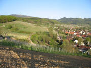 Blick vom Stalten nach Osten ber die Weinhnge "Paradies" oberhalb von Feldberg am 18.4.2007