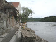 Blick nach Osten am 14.8.2008: Ufer absichern bei Schlo Beuggen