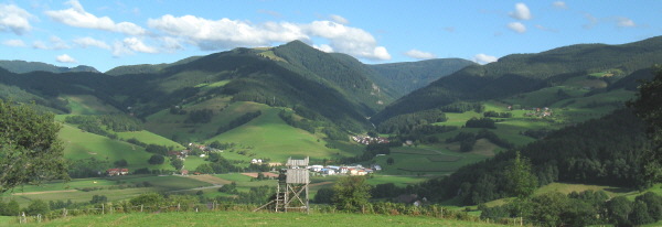 Blick von der Immi ob Dietenbach nach Osten zu Weilersbachtal, Hinterwaldkopf und Zastlertal (von links)  am 3.8.2008