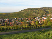 Blick nach Norden ber Ebringen zum Sommerberg am 19.10.2008