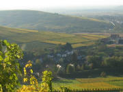 Blick vom Winterberg nach Sden ber Talhausen bis Pfaffenweiler am 19.10.2008
