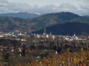 Blick vom Weinberg in St.Georgen nach Nordosten ber Freiburg zum schneebedeckten Kandel am 7.11.2010